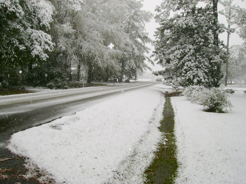 Snow Covered Drive